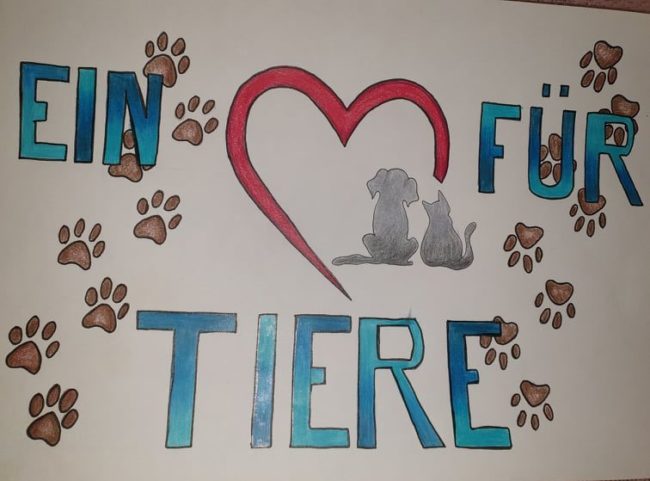 Bild von Michelle P., Kl. 10b Herz für Tiere