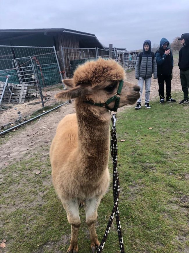 Lama 4