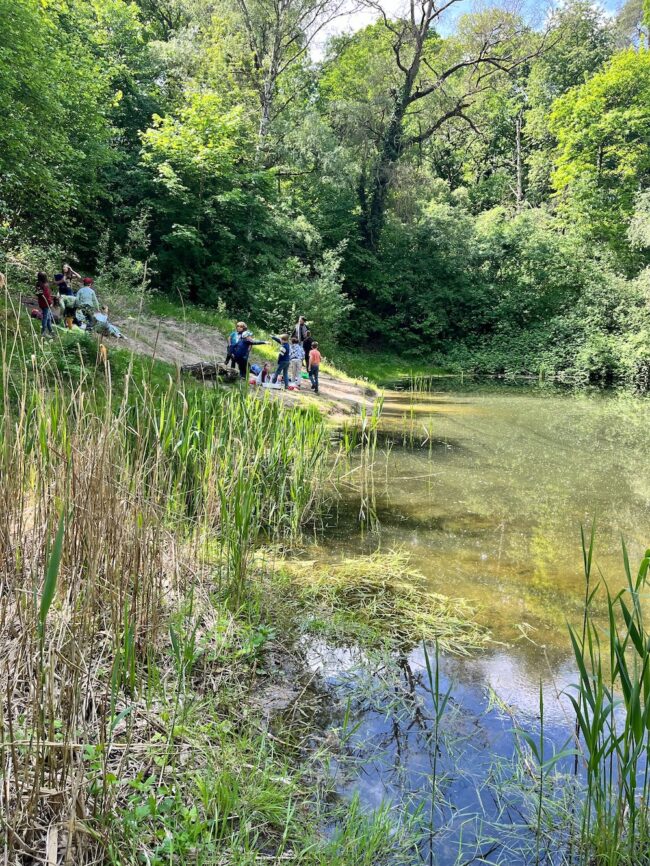 Exkursion Kl. 4, 080524-5