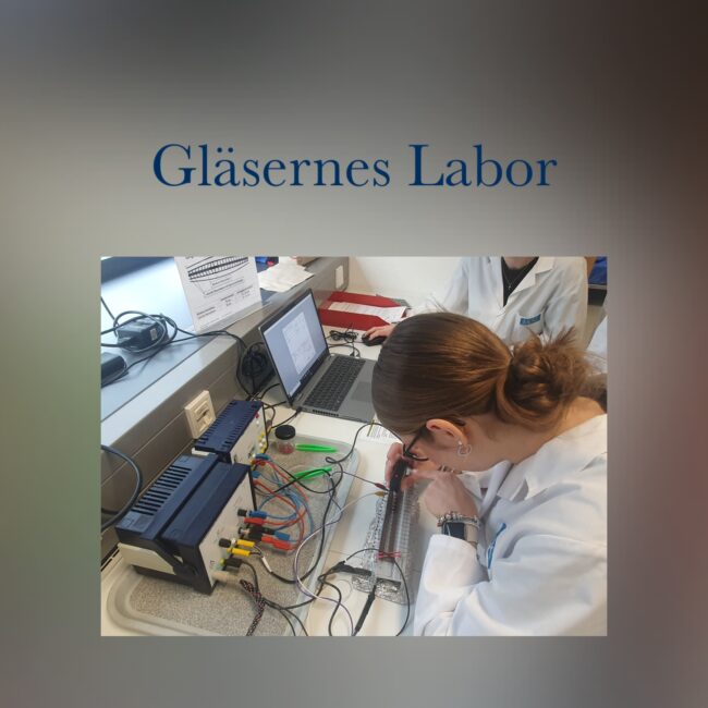 Gläsernes Labor