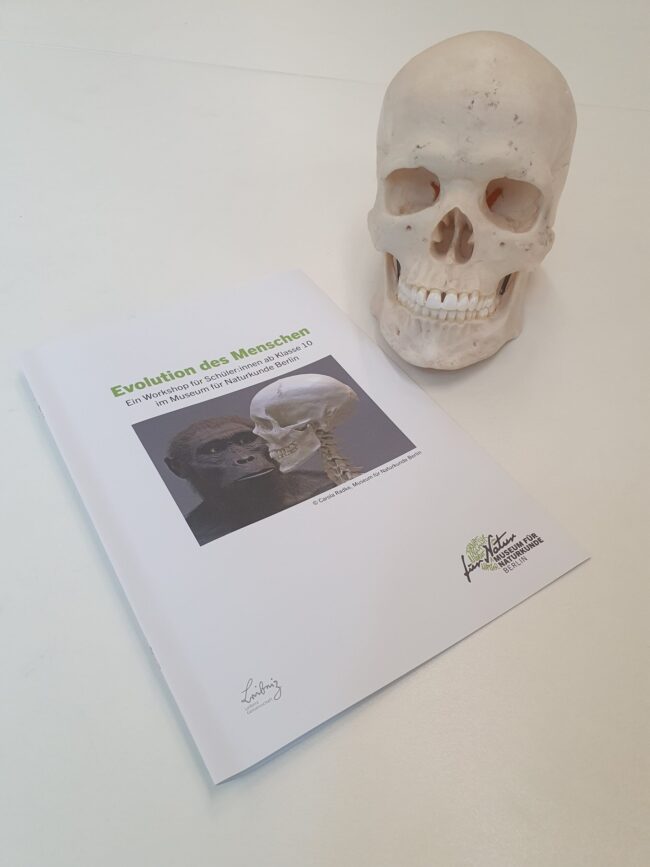 Workshop_Evolution des Menschen