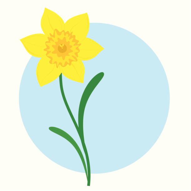 Happy Spring, Easter or St David’s Day!