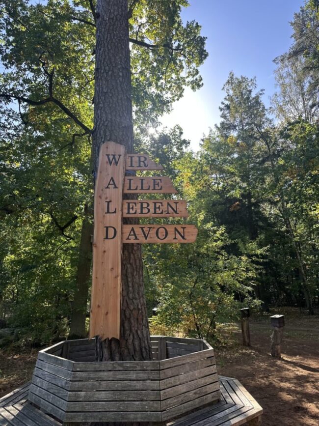 Beitragsbild Barfußpark