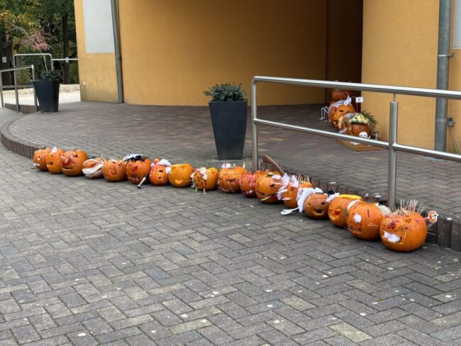 Beitragsbild Kürbisse 3
